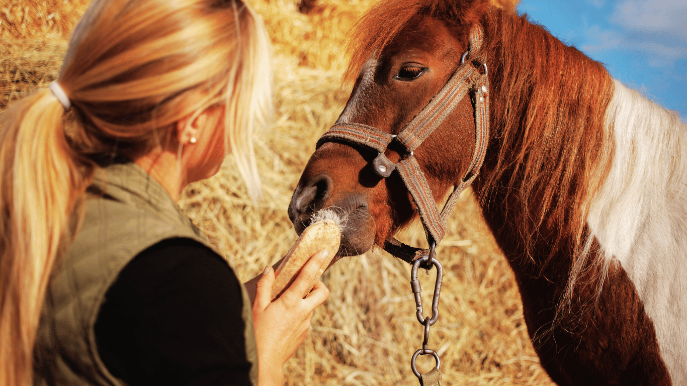bien choisir la formation pour devenir kinésiologue animal